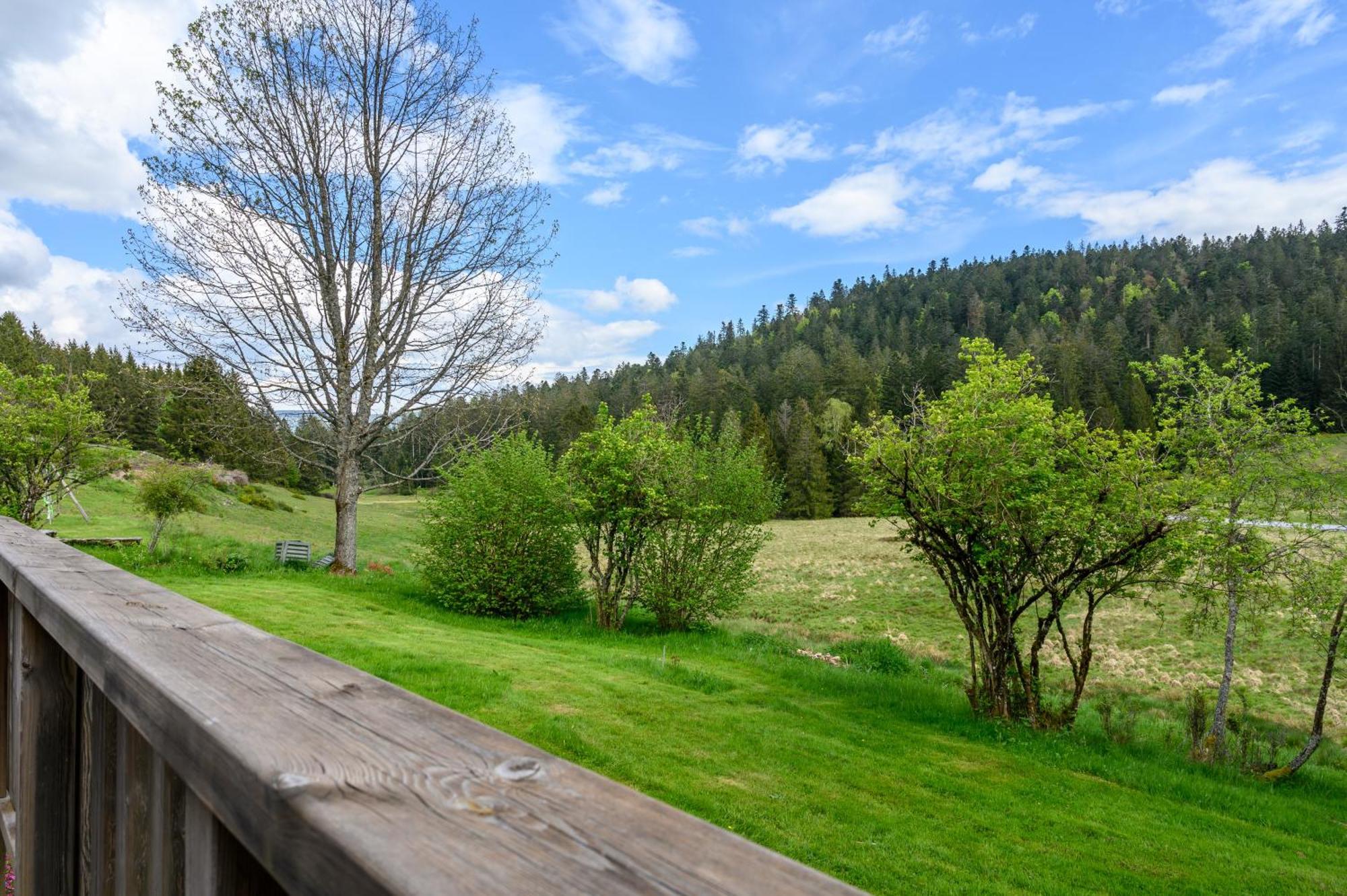 Gite La Ramee Ban-sur-Meurthe-Clefcy Bagian luar foto